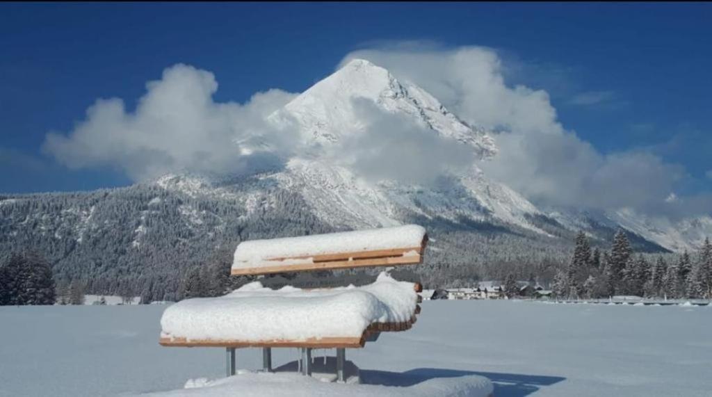 Alpenchalet Im Leutaschtal Bagian luar foto