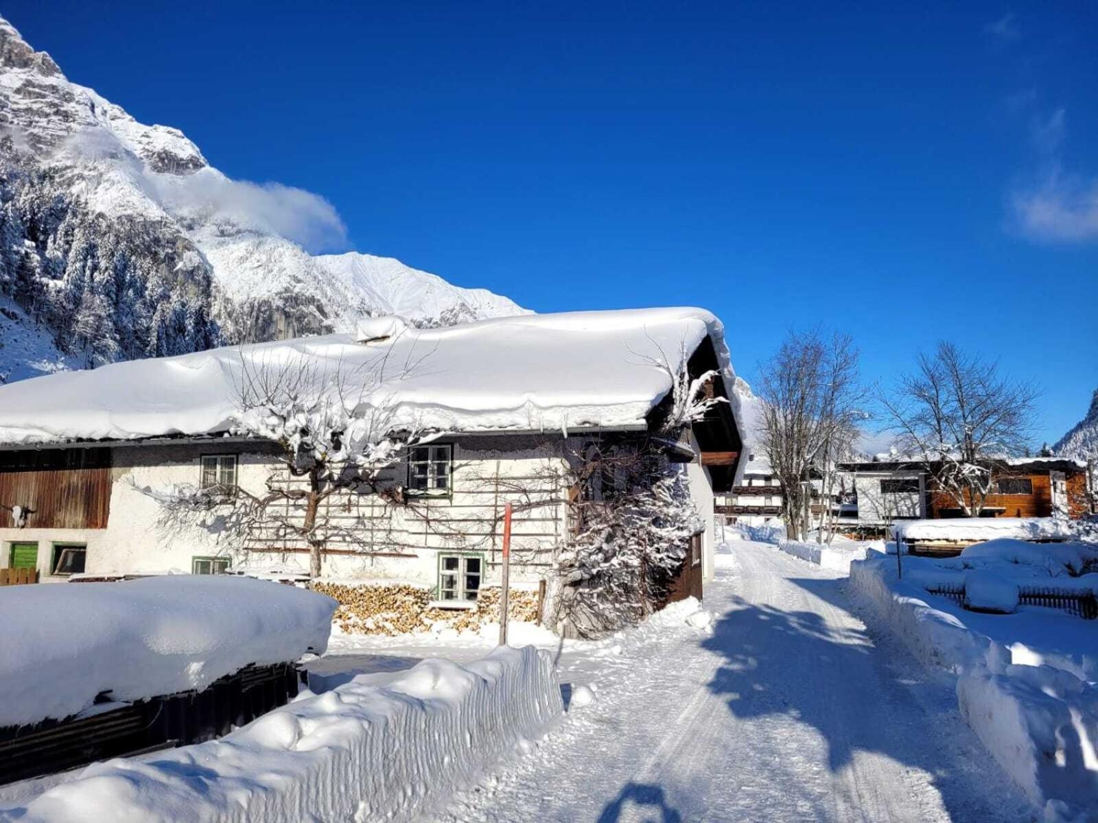 Alpenchalet Im Leutaschtal Bagian luar foto