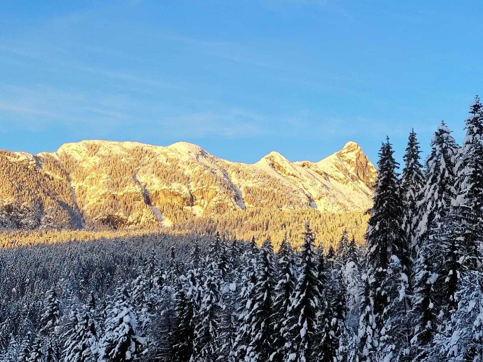 Alpenchalet Im Leutaschtal Bagian luar foto